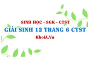 Giải Sinh 12 trang 6 Chân trời Sáng tạo